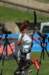 dsc_0943_small.jpg