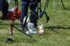 dsc_1007_small.jpg